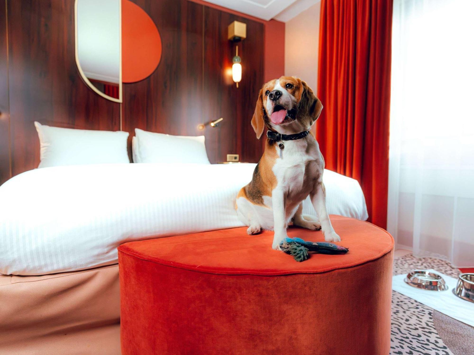 Nest Hotel Paris La Defense - Mgallery Collection Пюто Экстерьер фото A dog in a hotel room